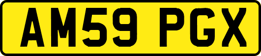 AM59PGX