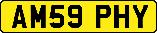 AM59PHY