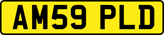 AM59PLD