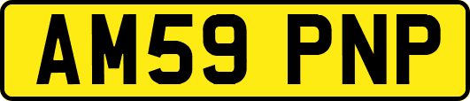 AM59PNP