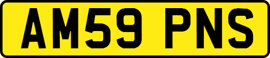 AM59PNS