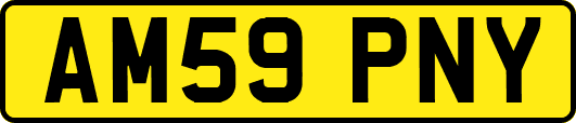 AM59PNY