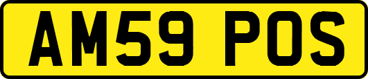 AM59POS