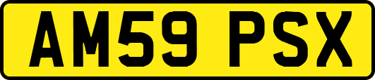 AM59PSX