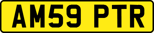 AM59PTR