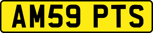 AM59PTS