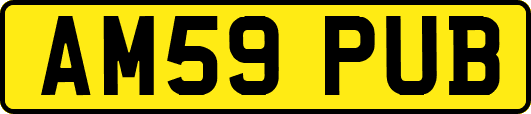 AM59PUB
