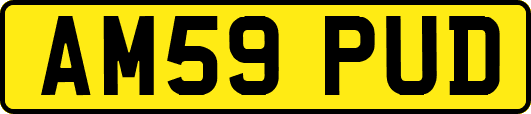 AM59PUD