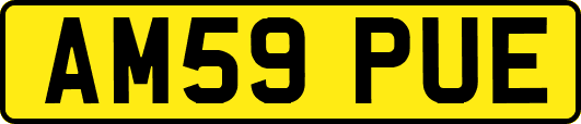 AM59PUE