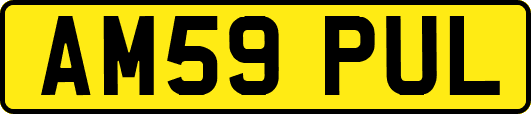 AM59PUL
