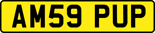 AM59PUP