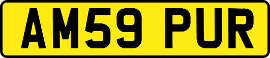 AM59PUR