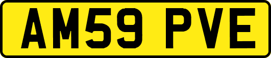 AM59PVE
