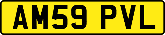 AM59PVL