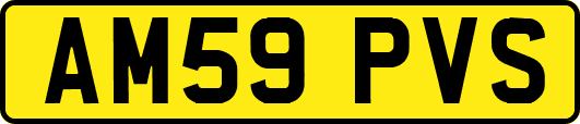 AM59PVS