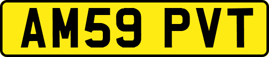 AM59PVT