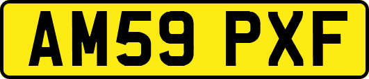AM59PXF
