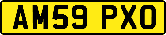 AM59PXO