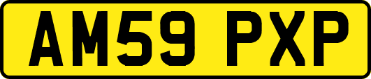 AM59PXP