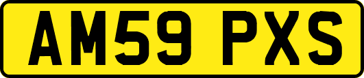 AM59PXS