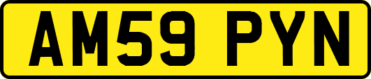 AM59PYN