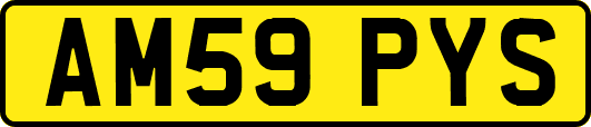 AM59PYS