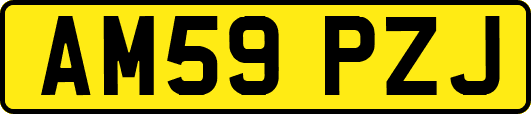 AM59PZJ