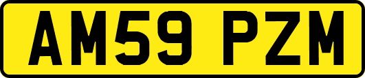 AM59PZM