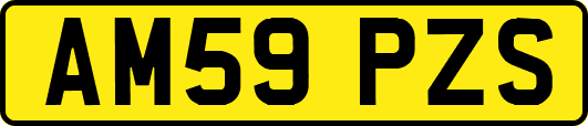 AM59PZS