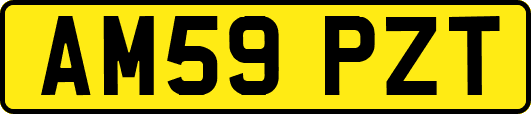 AM59PZT