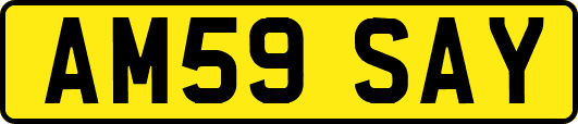 AM59SAY