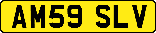 AM59SLV