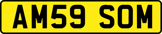 AM59SOM