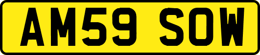 AM59SOW