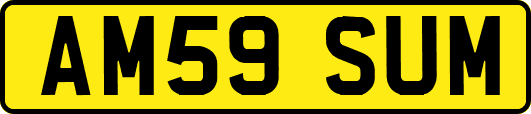 AM59SUM