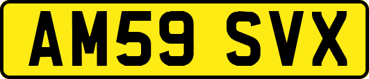 AM59SVX