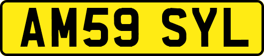 AM59SYL