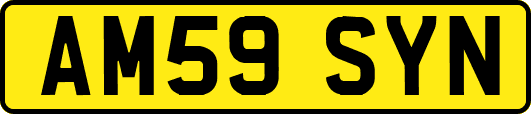 AM59SYN