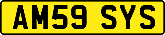 AM59SYS