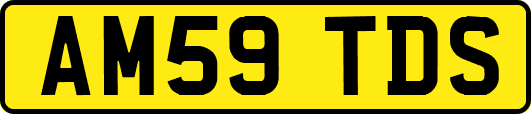 AM59TDS