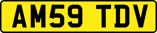 AM59TDV