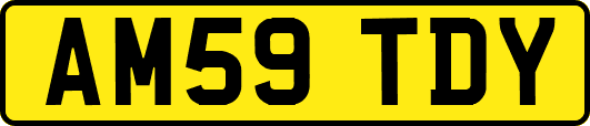 AM59TDY