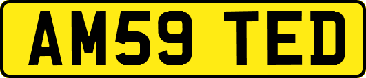 AM59TED