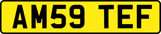 AM59TEF