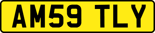 AM59TLY
