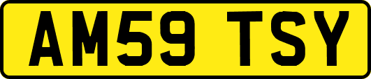 AM59TSY