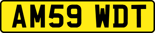 AM59WDT