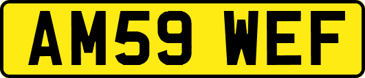 AM59WEF