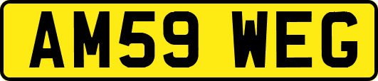 AM59WEG