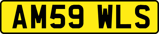 AM59WLS